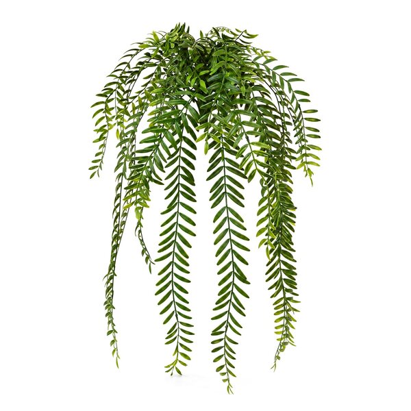 Coolplant Columnea kunsthangplant 65 cm