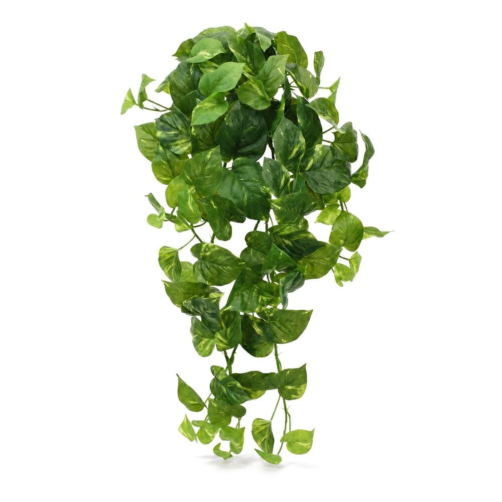 Coolplant Scindapsus kunsthangplant bont 80 cm