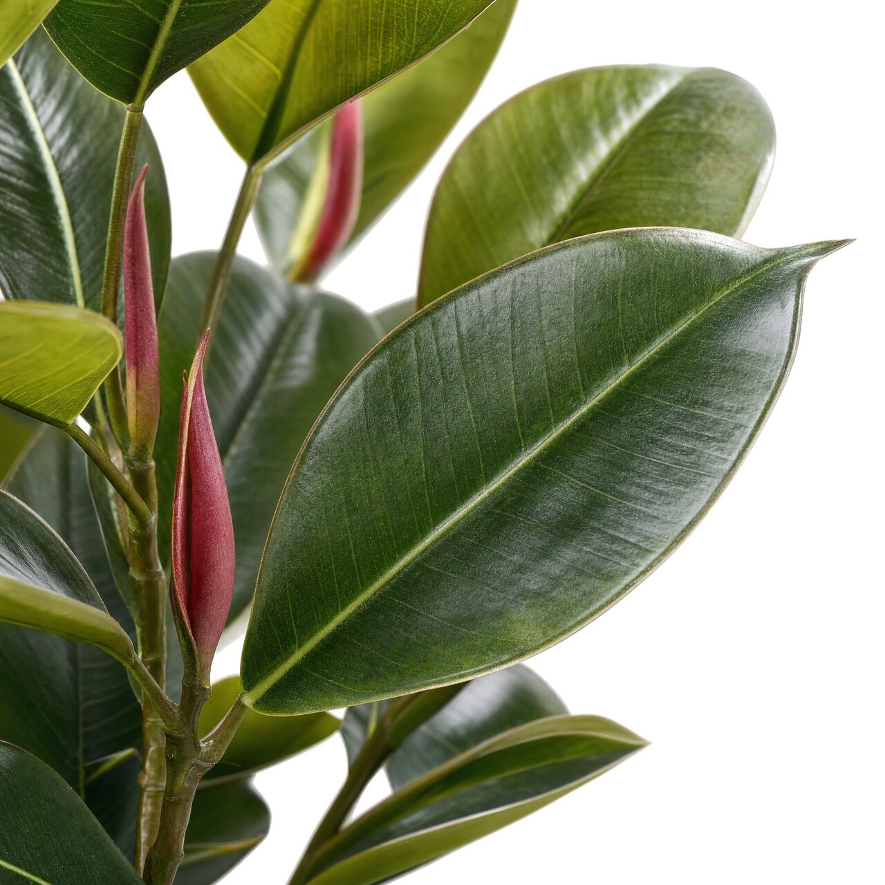 Philodendron Window kunstplant 50 cm