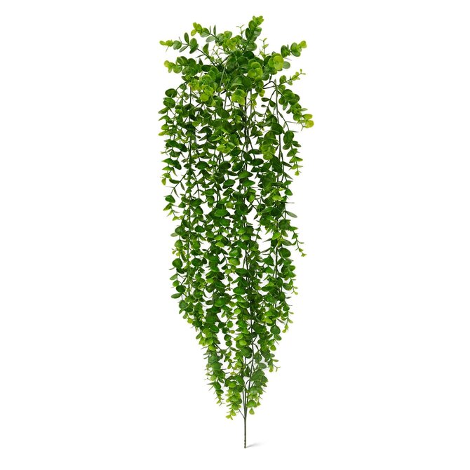 Coolplant Eucalyptus Kunsthängepflanze 70 cm