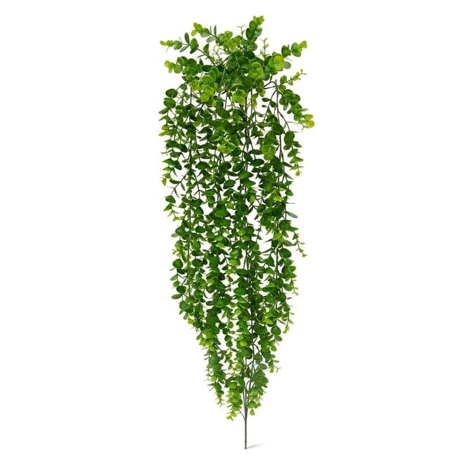 Coolplant Eucalyptus kunsthangplant 70 cm