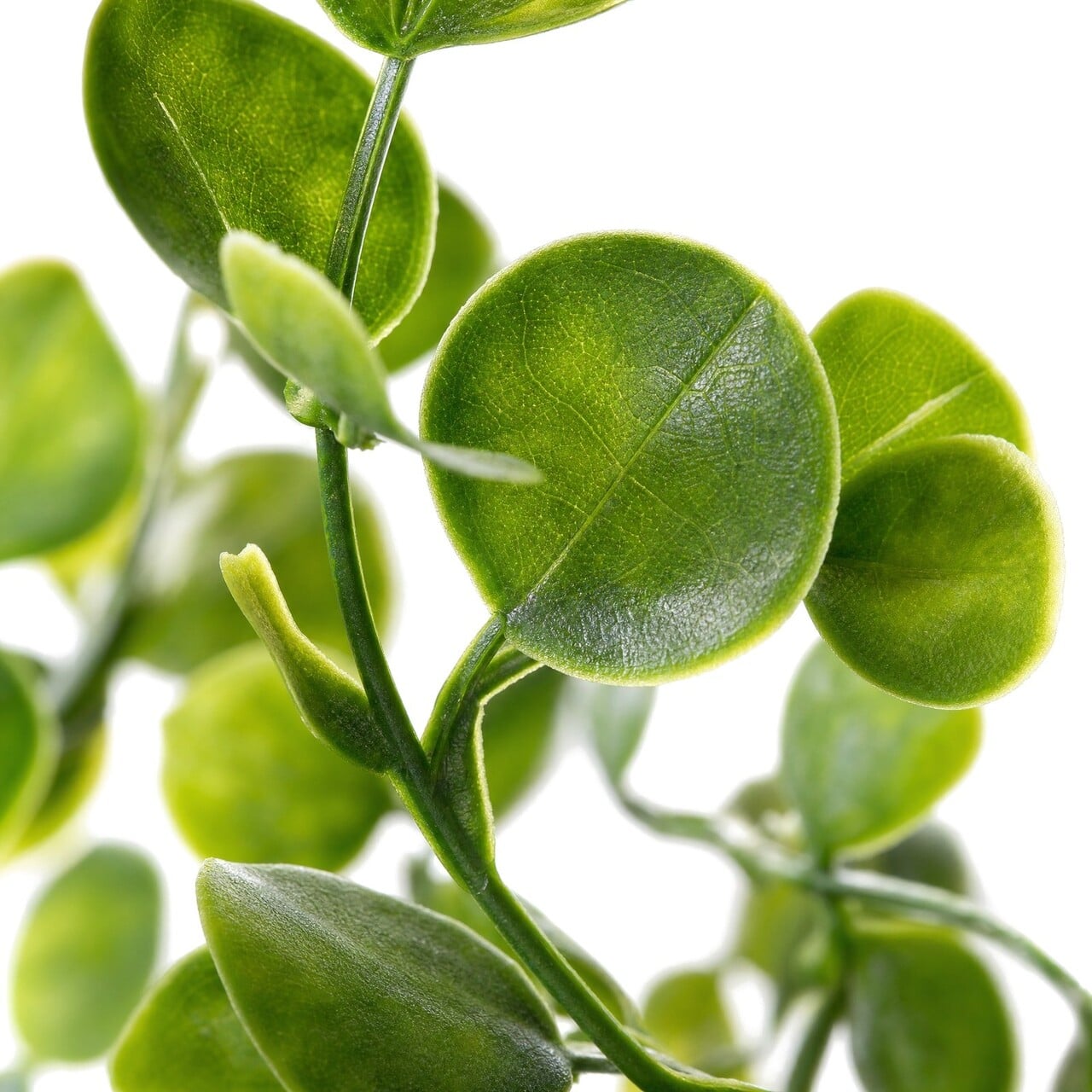 Eucalyptus kunsthangplant 70 cm