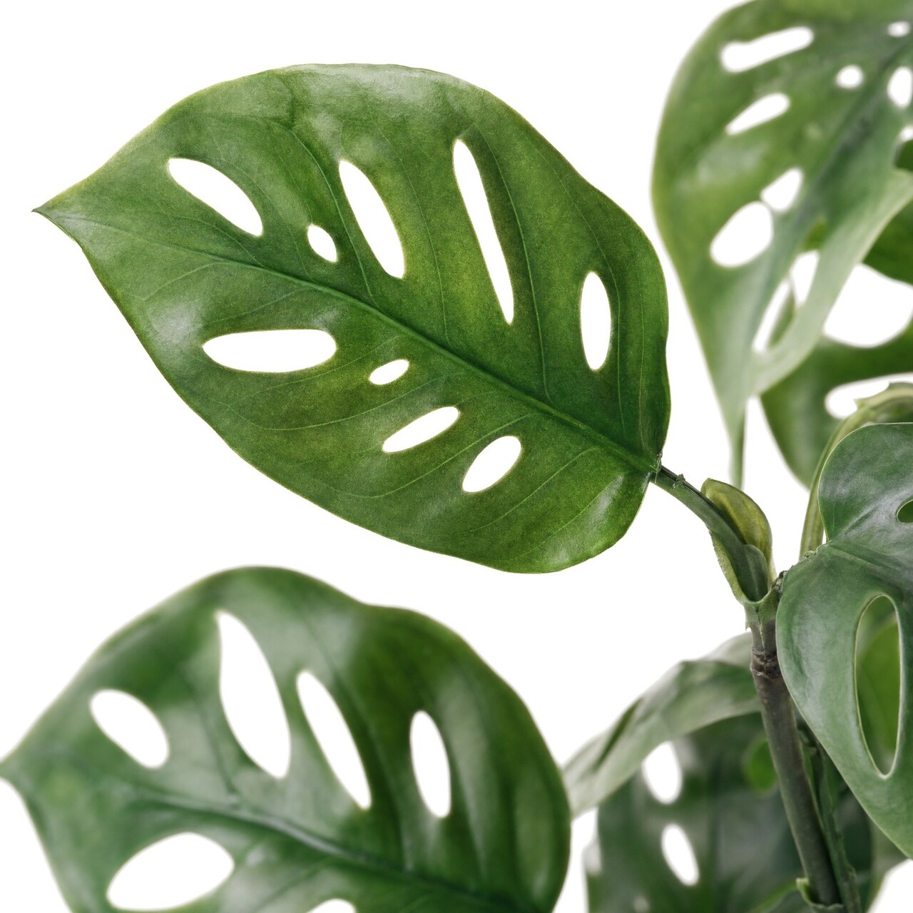 Monstera Adansonii kunsthangplant 45 cm