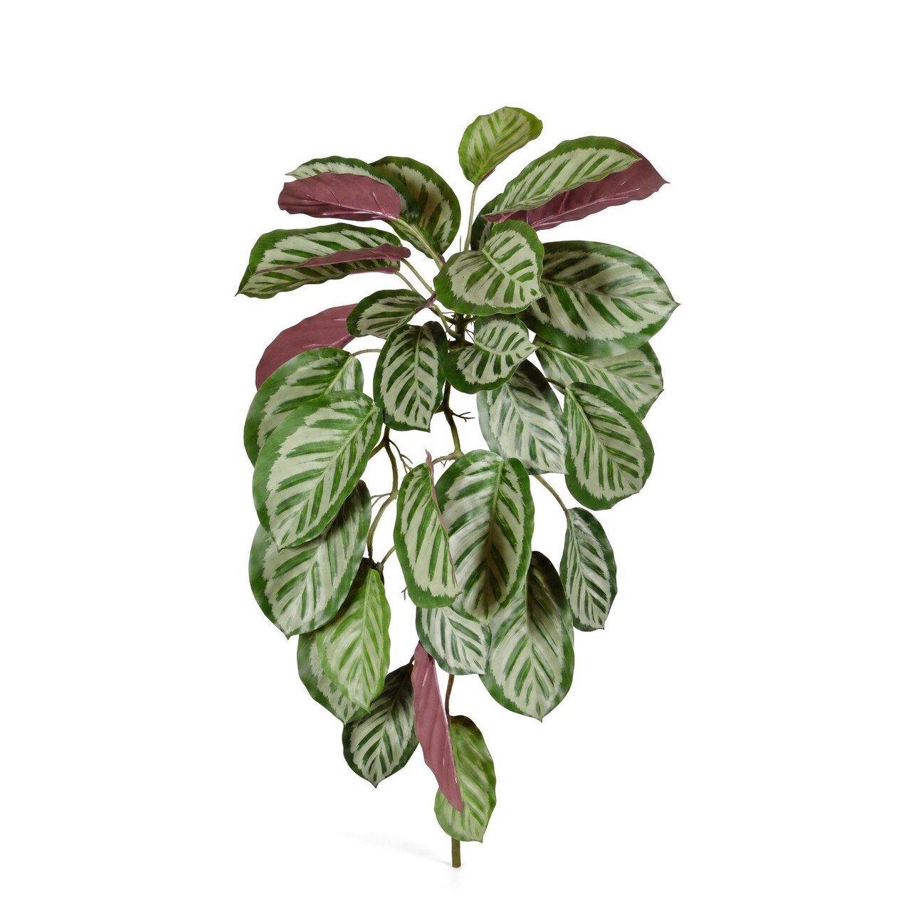 Calathea Roseopicta kunsthangplant rood 70 cm
