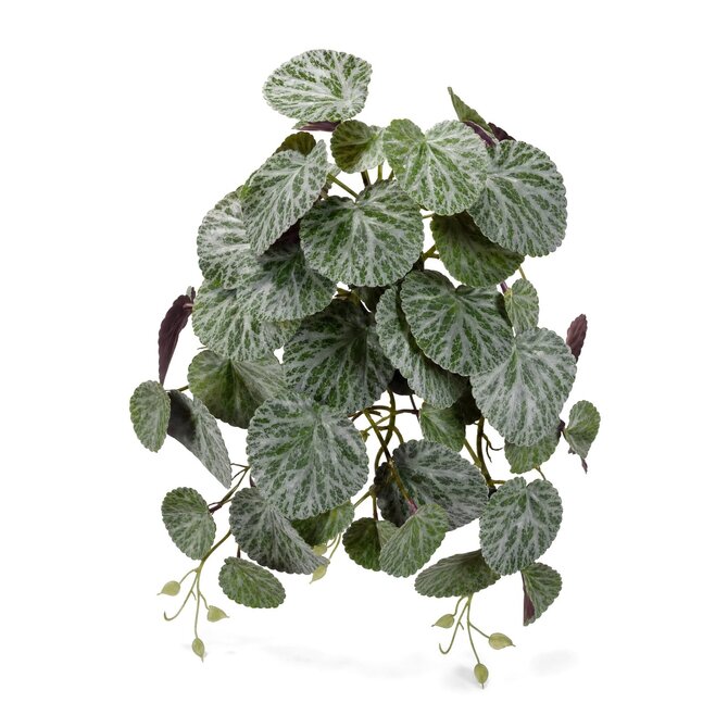 Coolplant Saxifraga kunsthangplant groen-rood 45 cm
