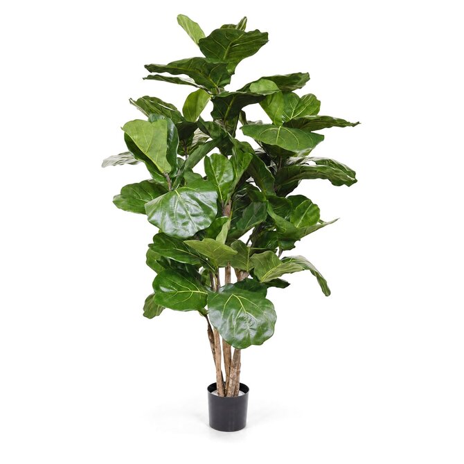 Coolplant Ficus Lyrata kunstplant deluxe 170 cm