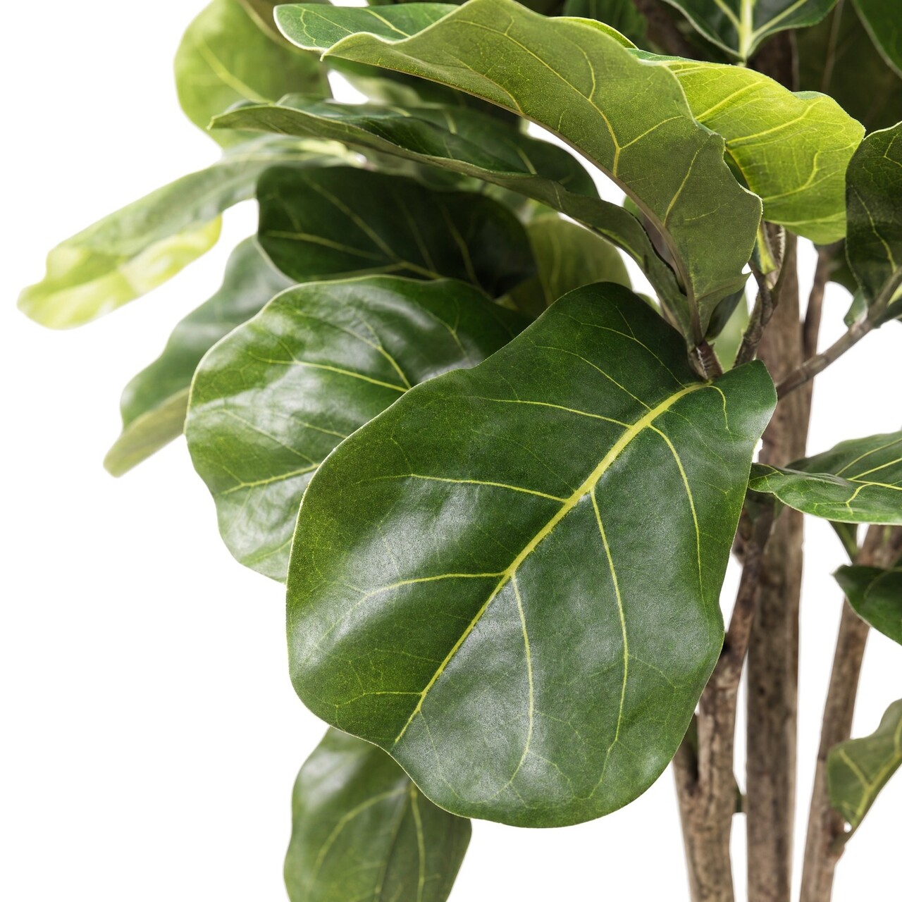 Ficus Lyrata kunstplant deluxe 170 cm