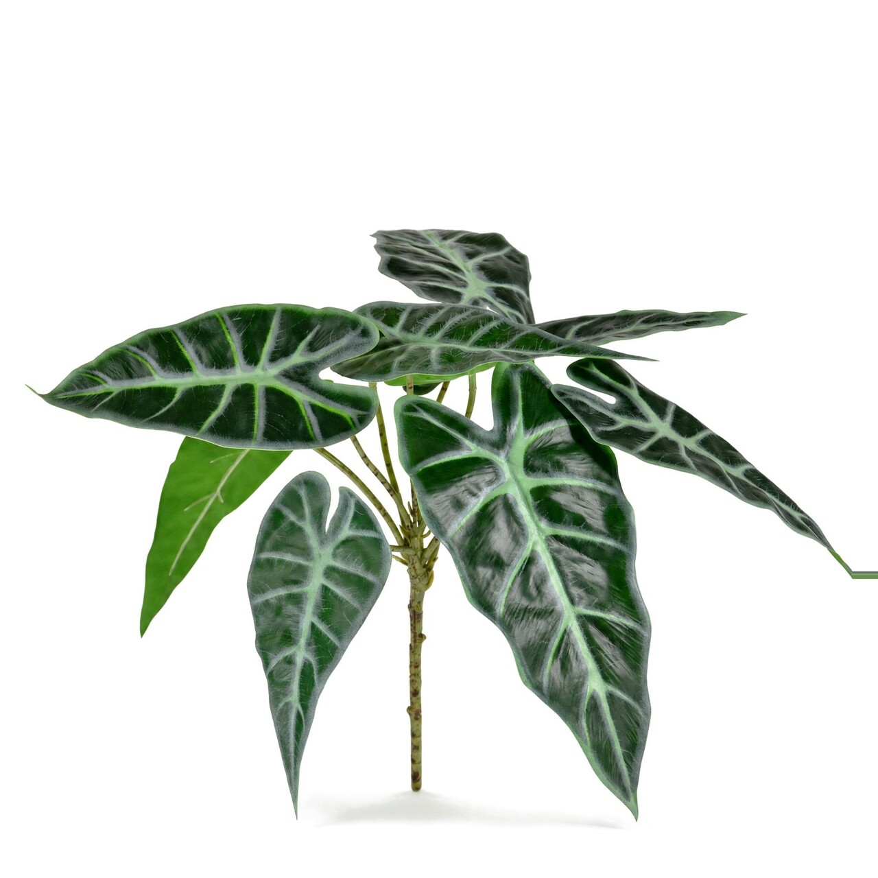 Alocasia Polly kunstboeket 30 cm