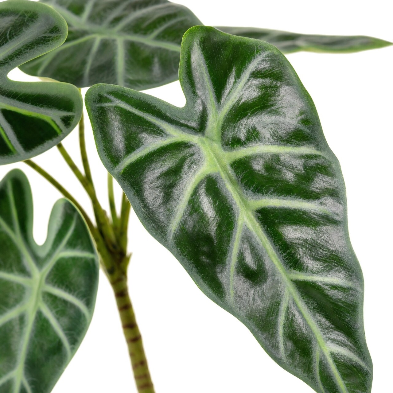 Alocasia Polly kunstboeket 30 cm