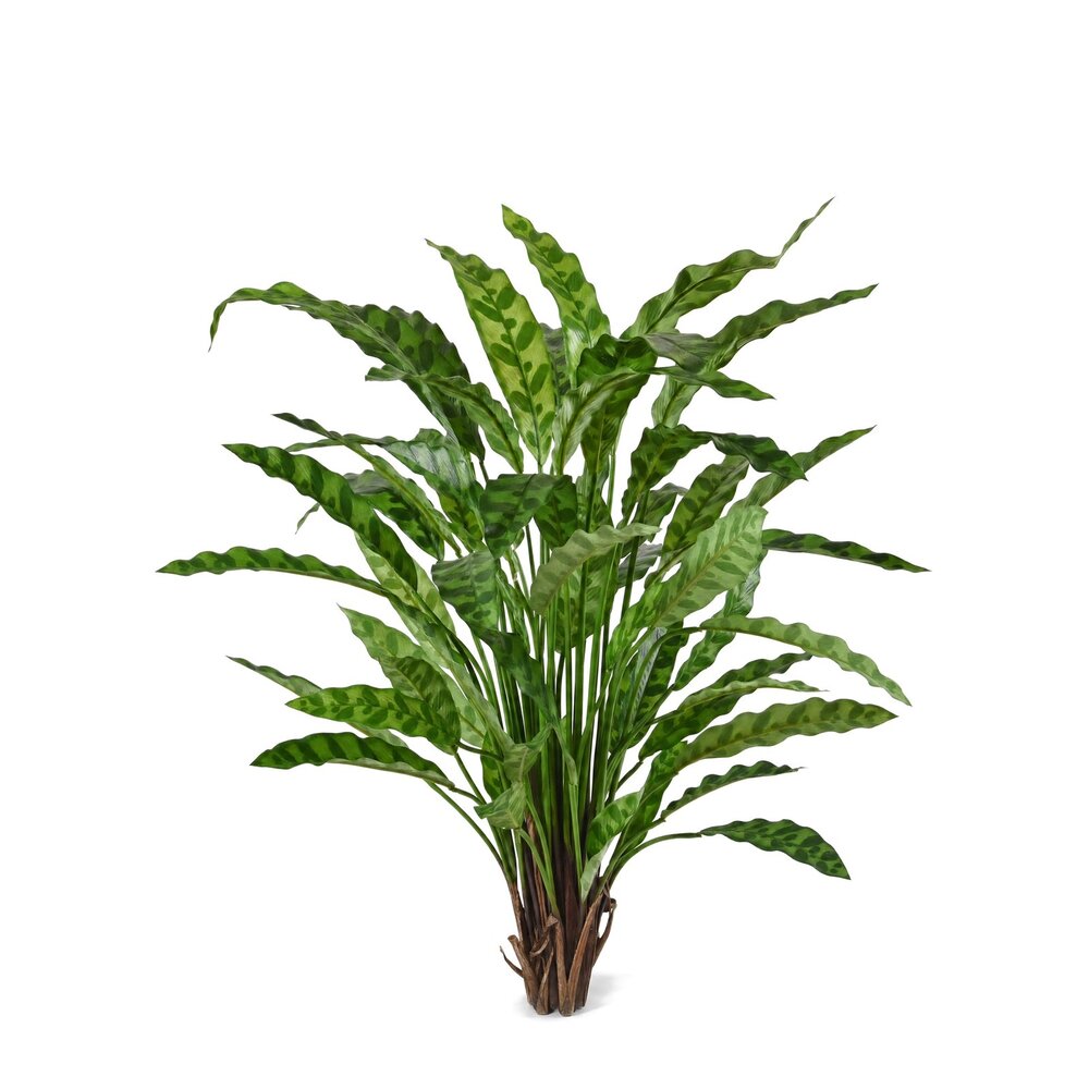 Coolplant Calathea Leopardina kunstplant 60 cm