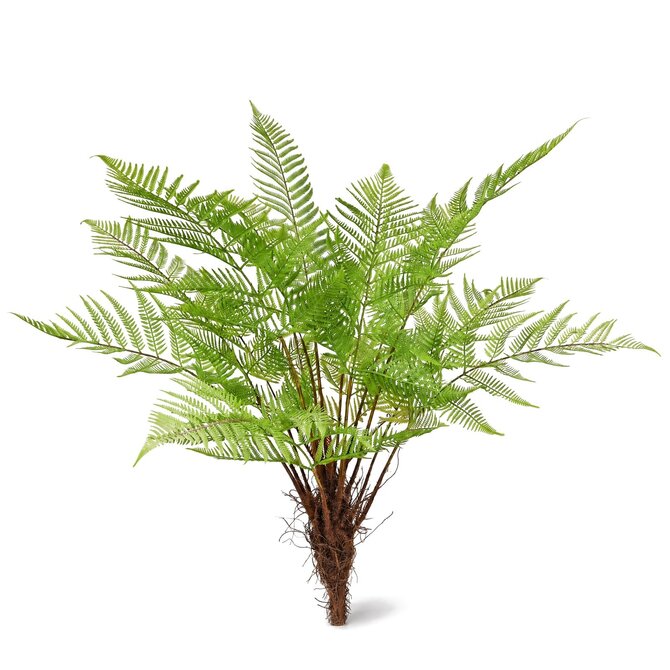 Coolplant Bosvaren kunstplant 80 cm