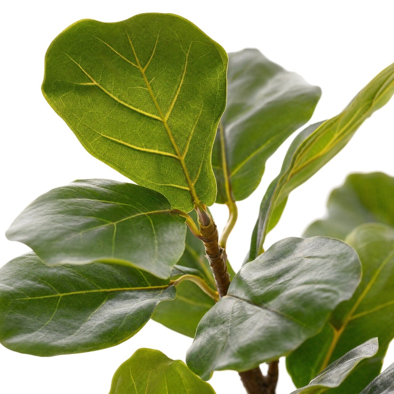 Ficus Lyrata kunstplant 60 cm