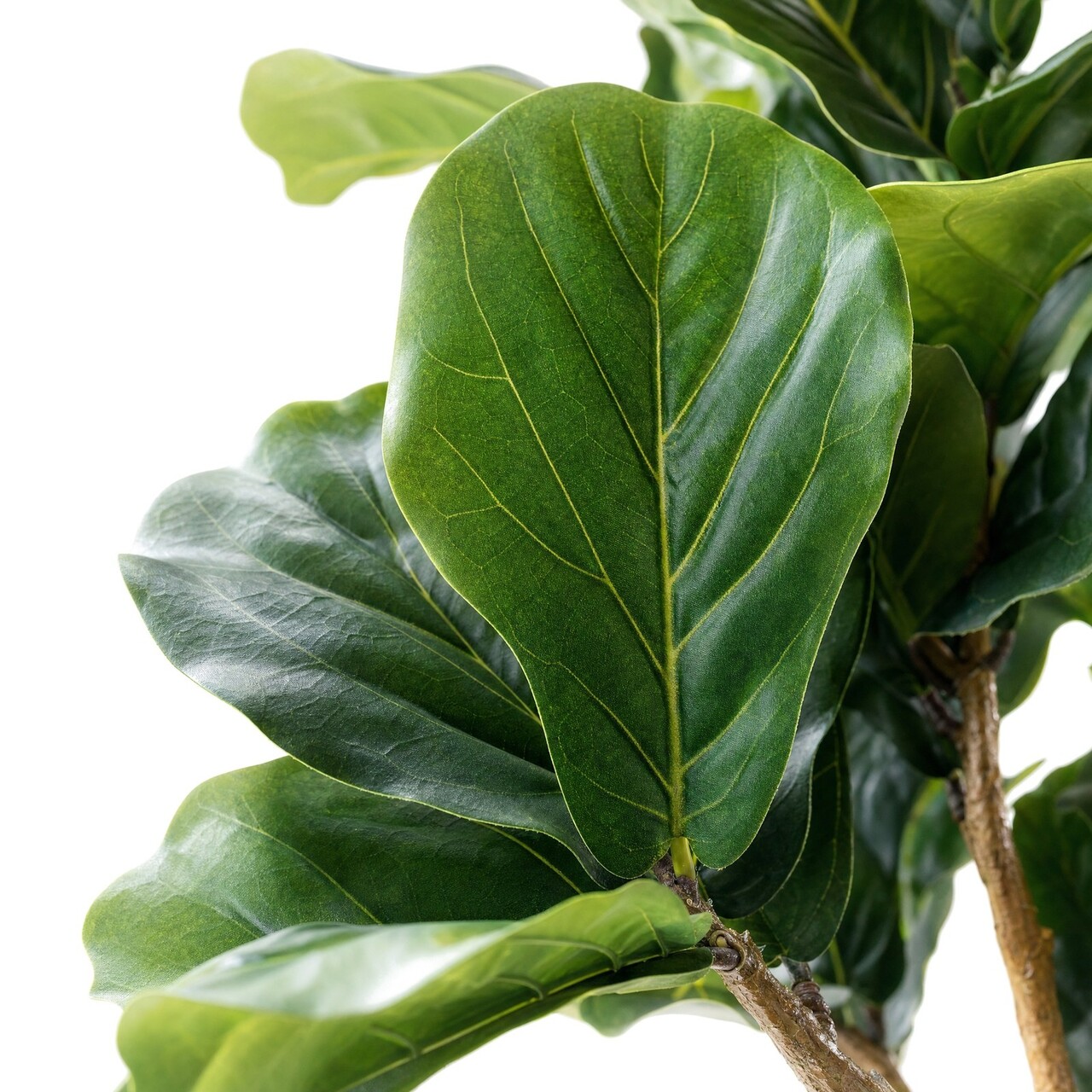 Ficus Lyrata kunstplant deluxe 155 cm