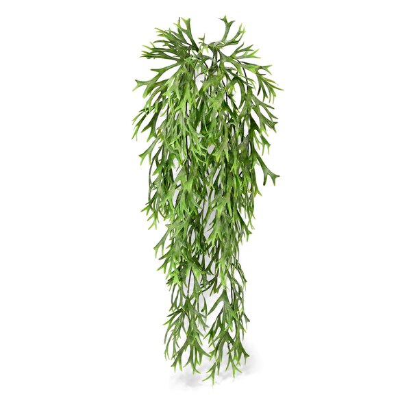 Coolplant Geweihfarn Kunsthängepflanze 65 cm