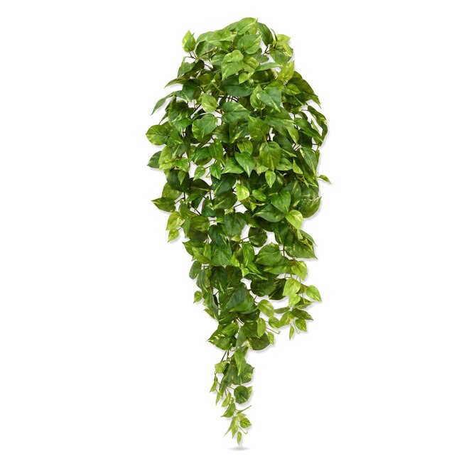 Coolplant Scindapsus kunsthangplant bont 100 cm