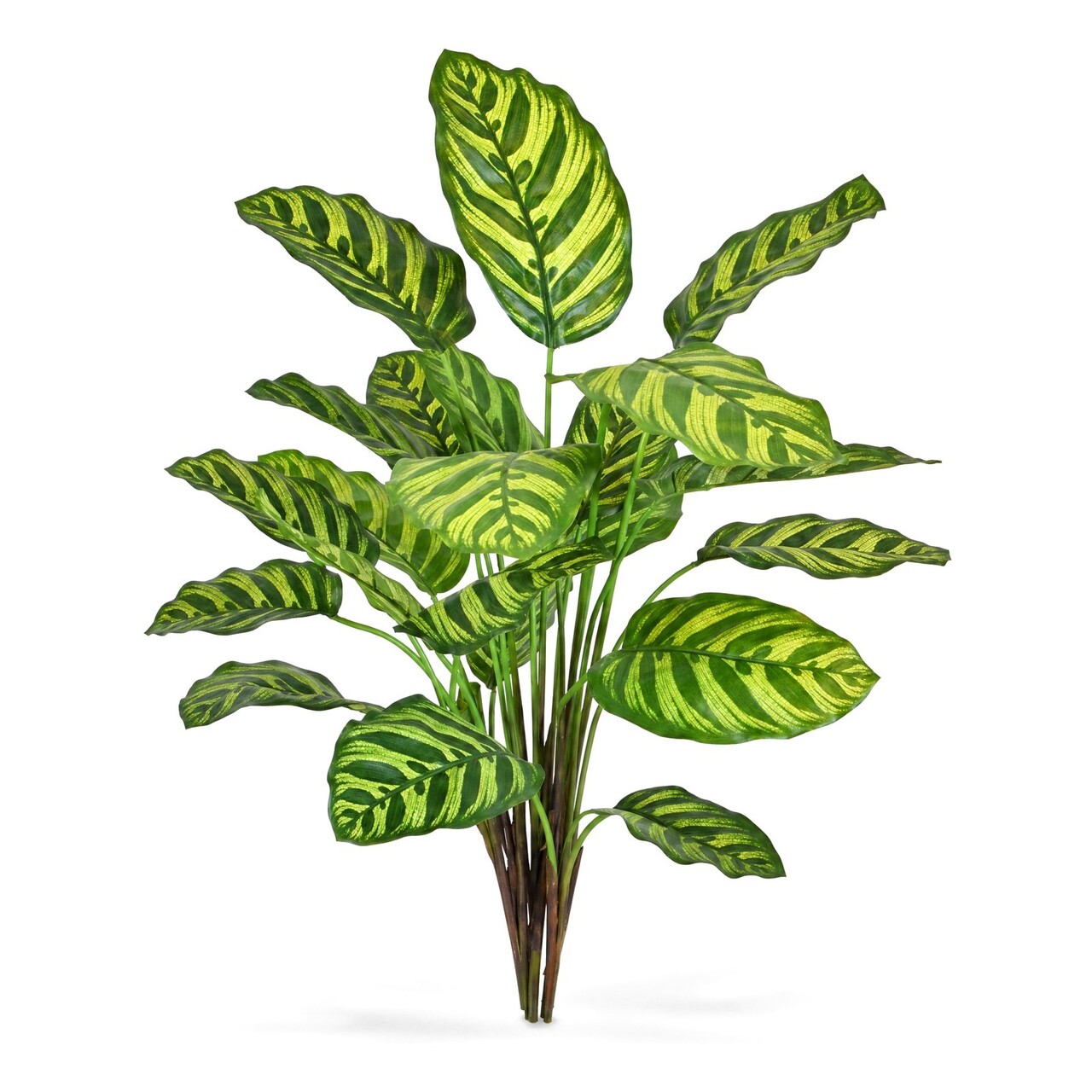 Calathea Makoyana kunstplant 60 cm