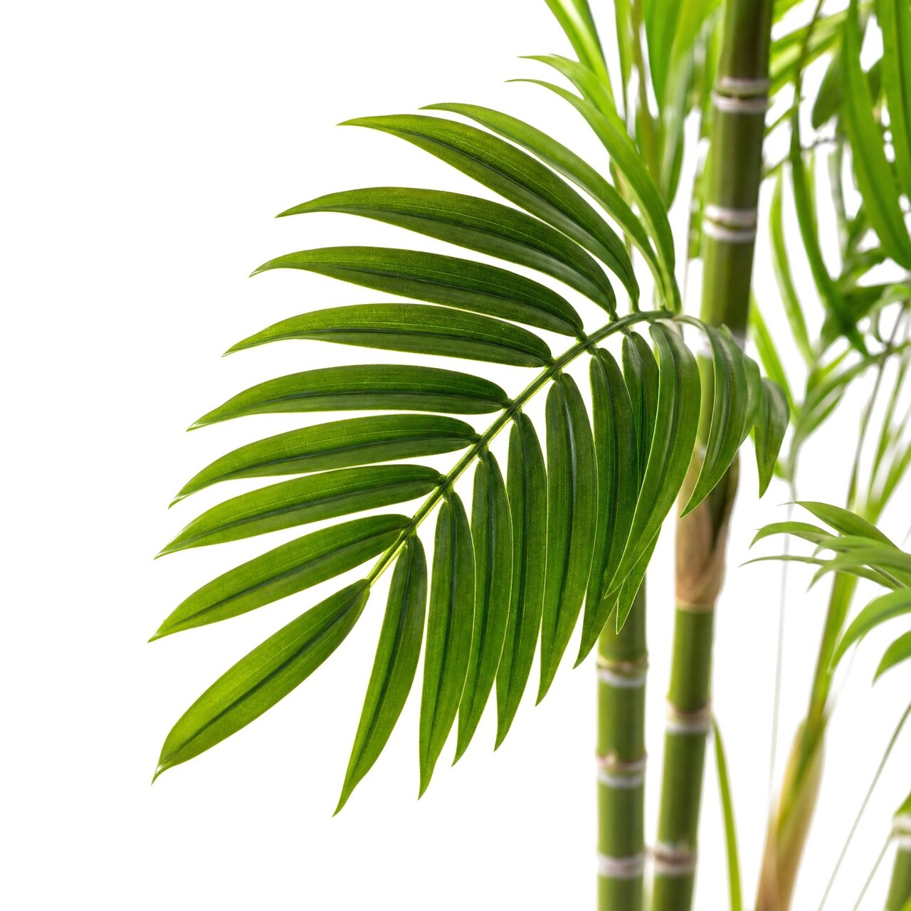 Areca kunstpalm deluxe 180 cm
