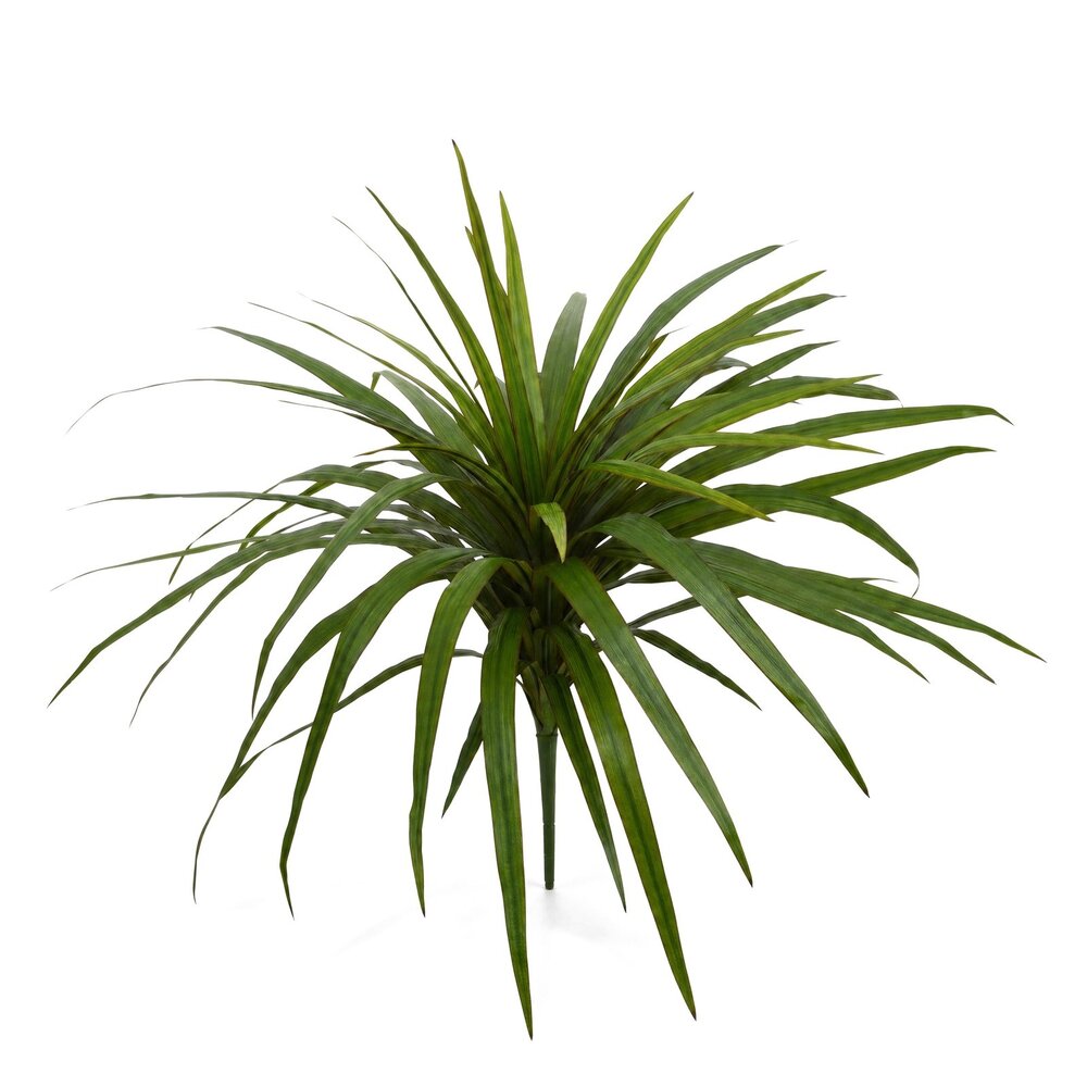 Coolplant Dracaena Marginata kunstboeket 50 cm