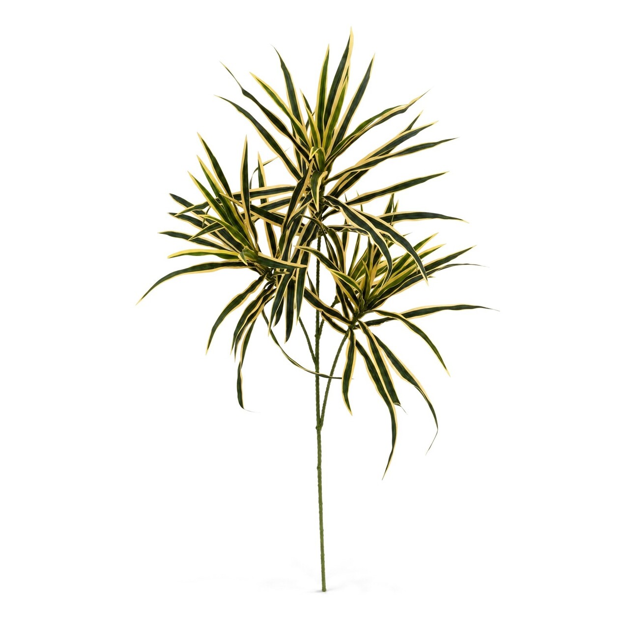 Dracaena kunsttak bont 80 cm