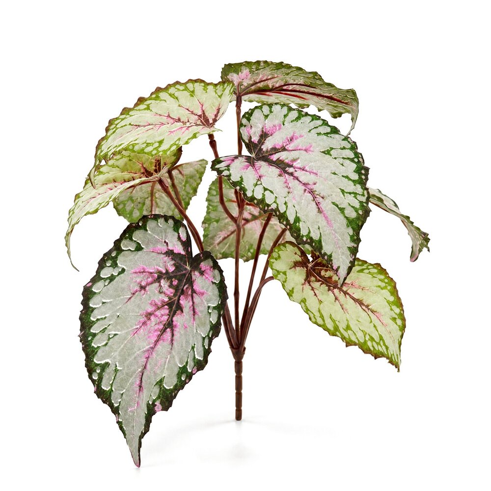Coolplant Blattbegonie Kunststrauß 25 cm