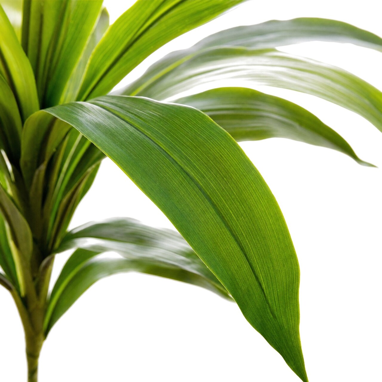 Dracaena kunstboeket groen 60 cm