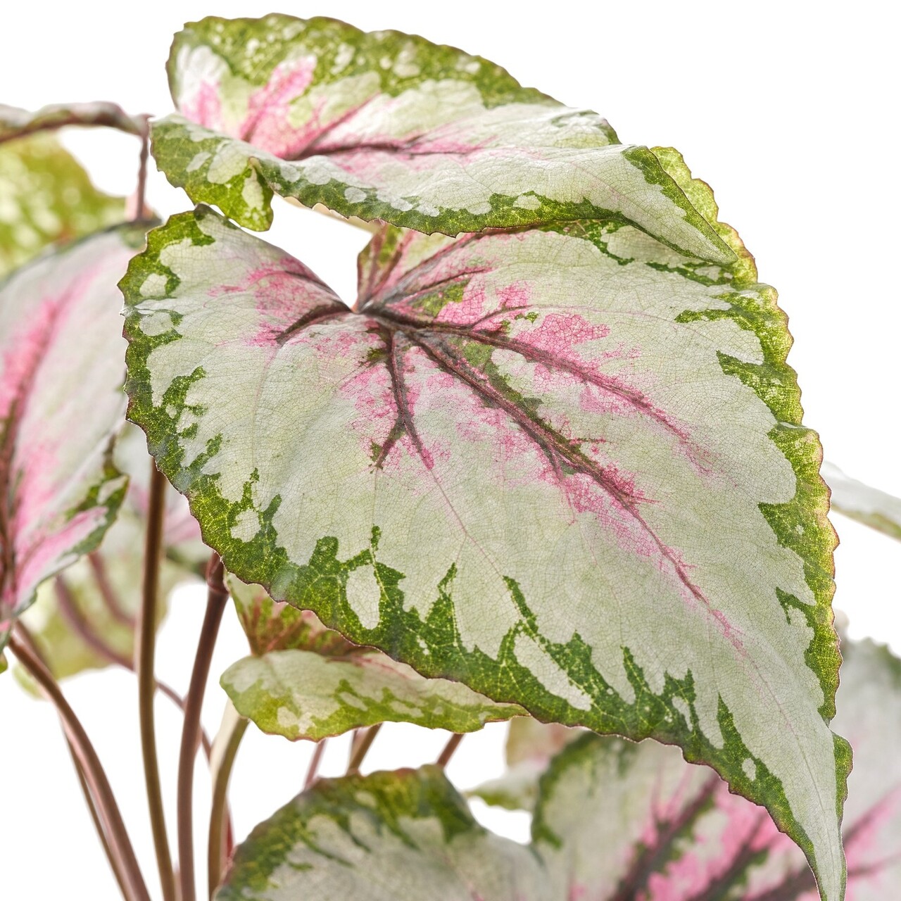 Bladbegonia kunstboeket 25 cm