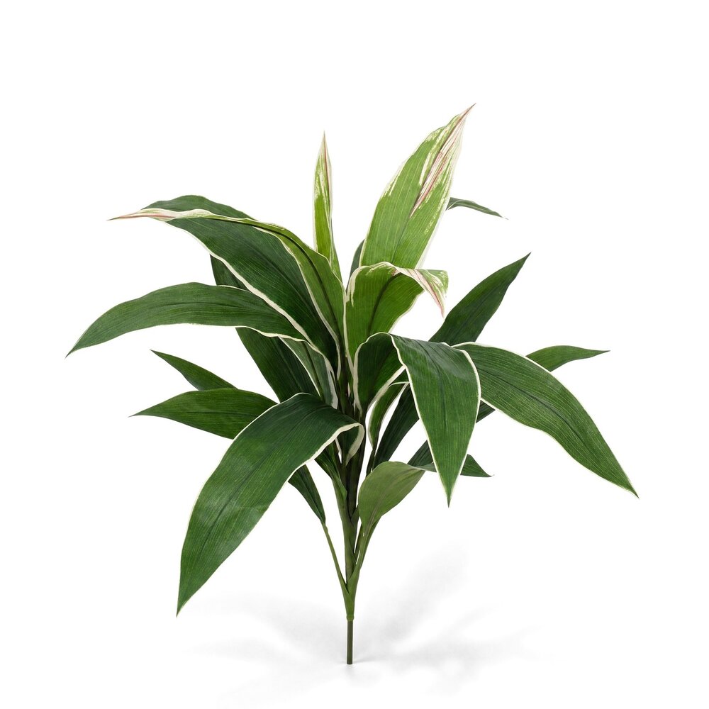 Coolplant Dracaena kunstboeket bont 60 cm