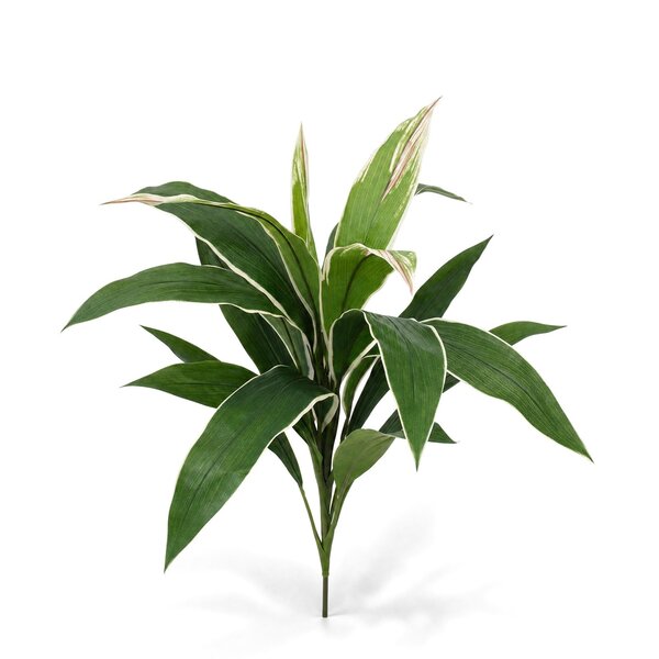 Coolplant Dracaena Kunststrauß bunt 60 cm