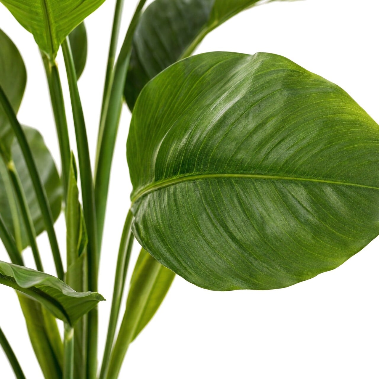 Spathiphyllum kunstplant 100 cm