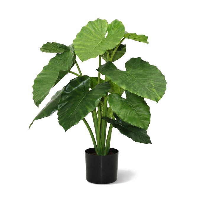Coolplant Alocasia Calidora kunstplant 80 cm