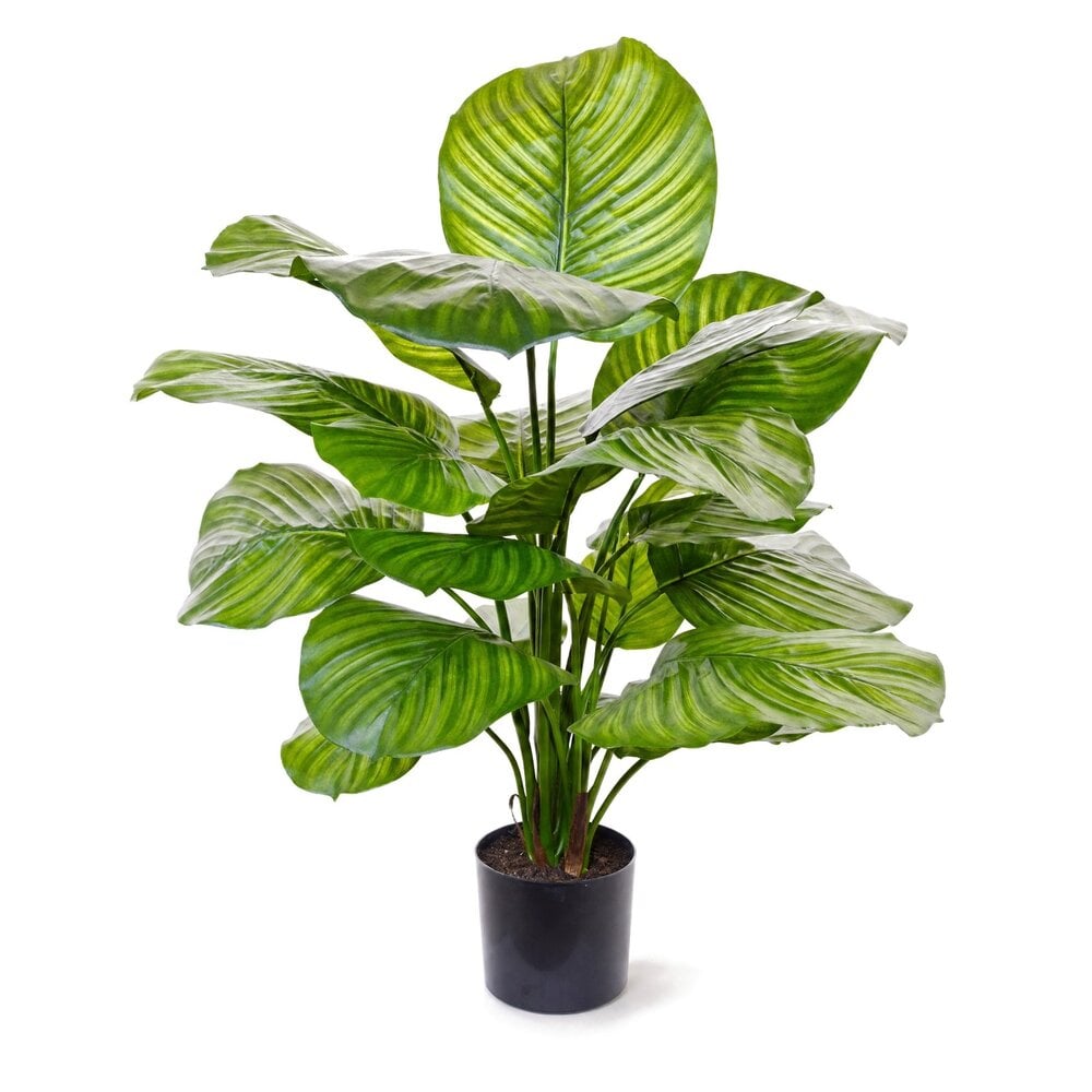 Coolplant Calathea Fasciata kunstplant 70 cm