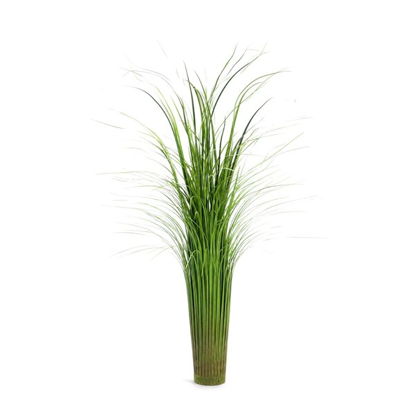 Coolplant Pluimgras kunstplant 50 cm