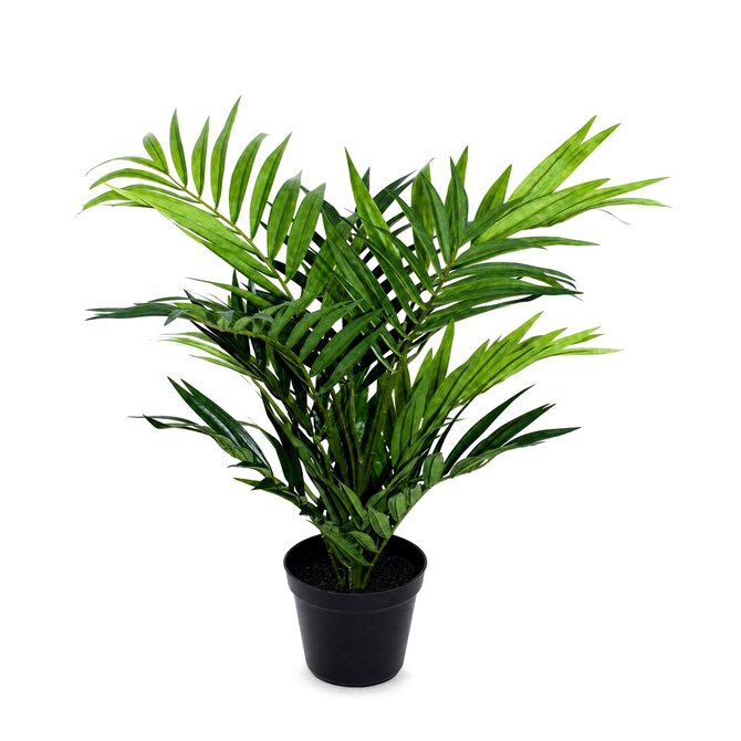 Coolplant Parlour kunstpalm 50 cm