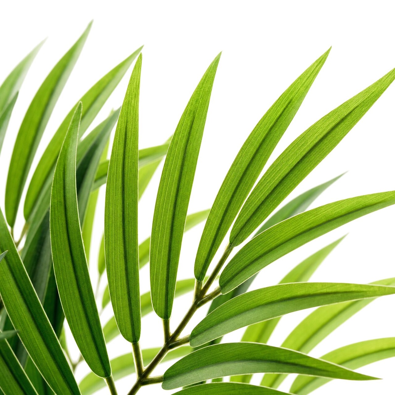 Parlour kunstpalm 50 cm