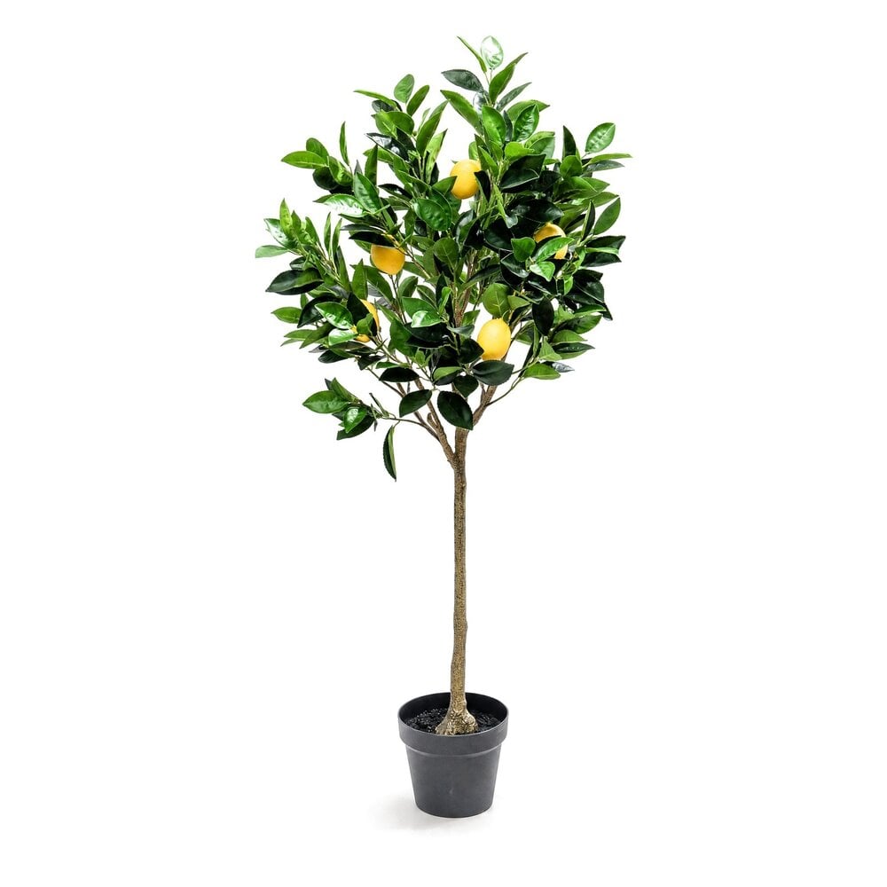 Coolplant Citroen kunstboom 120 cm