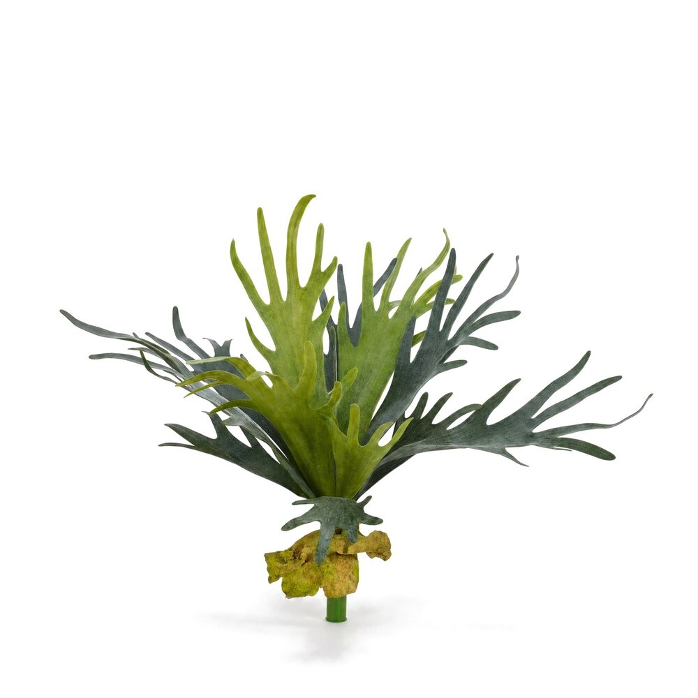 Coolplant Hertshoorn kunstboeket 50 cm