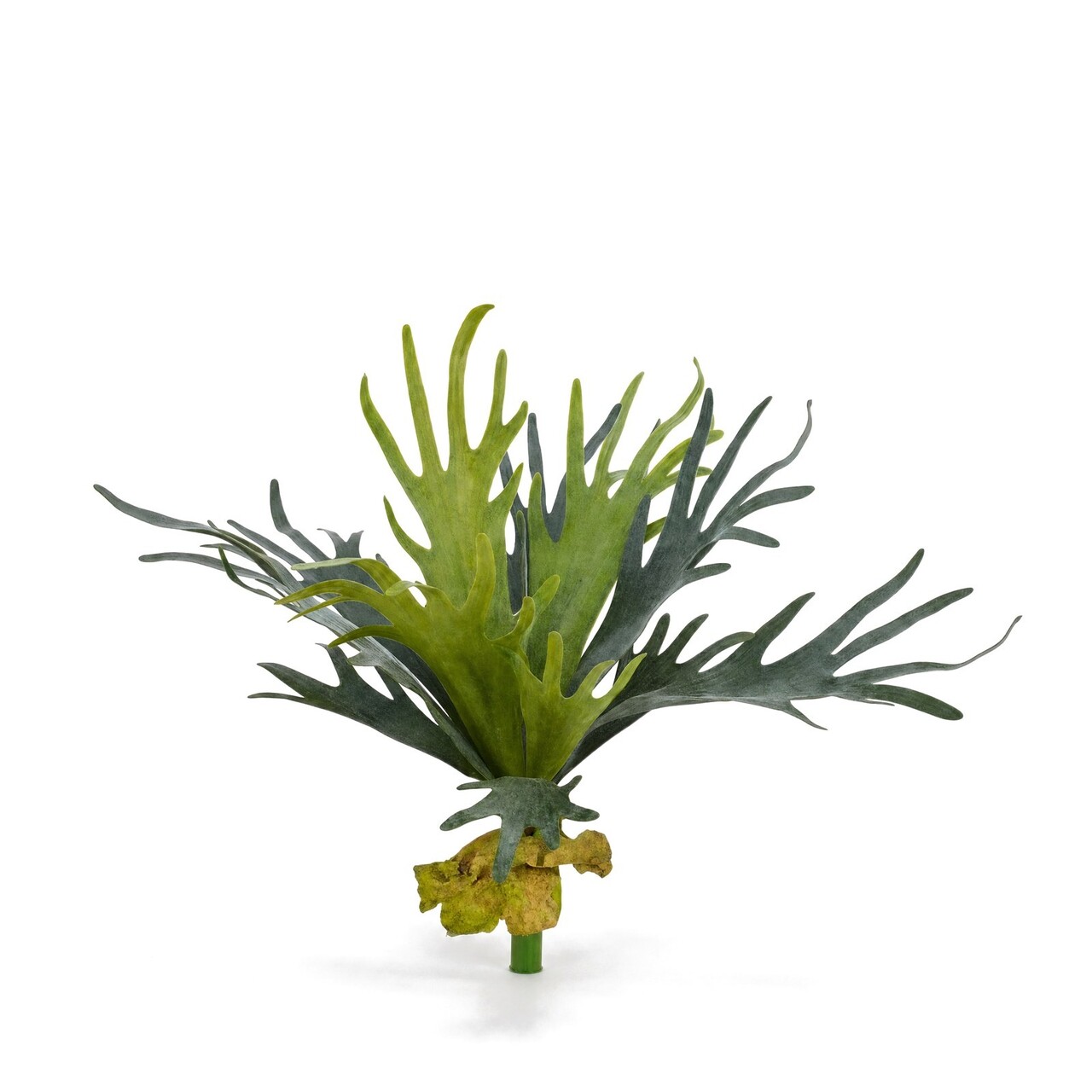 Geweihfarn-Kunstbukett 50 cm