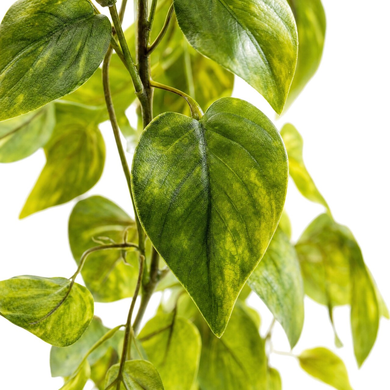 Pothos kunsthangplant bont 170 cm