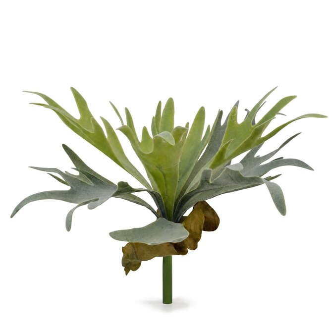 Coolplant Geweihfarn Kunststrauß 30 cm