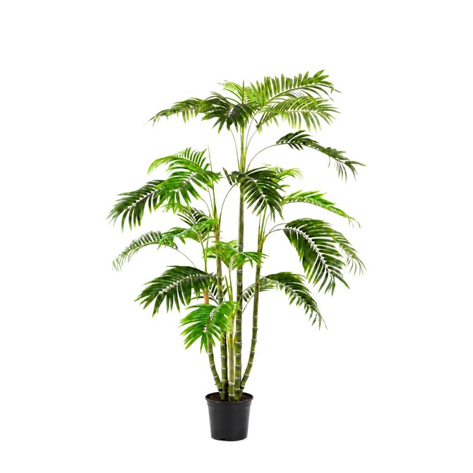 Coolplant Areca kunstpalm deluxe 160 cm