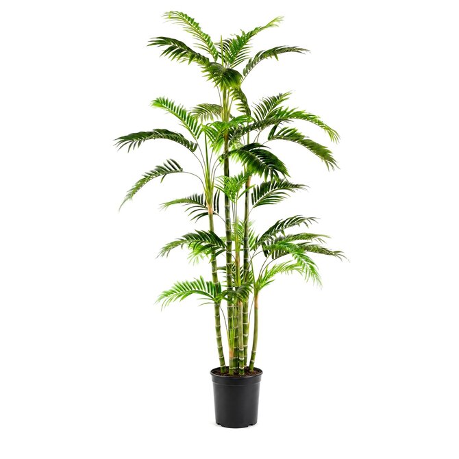 Coolplant Areca kunstpalm deluxe 180 cm