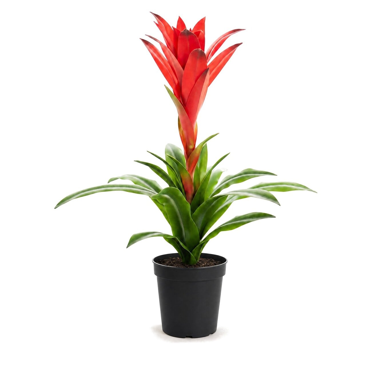 Guzmania kunstplant 60 cm