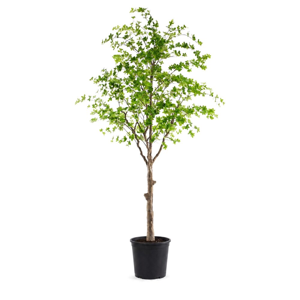 Coolplant Lente kunstboom groen 300 cm