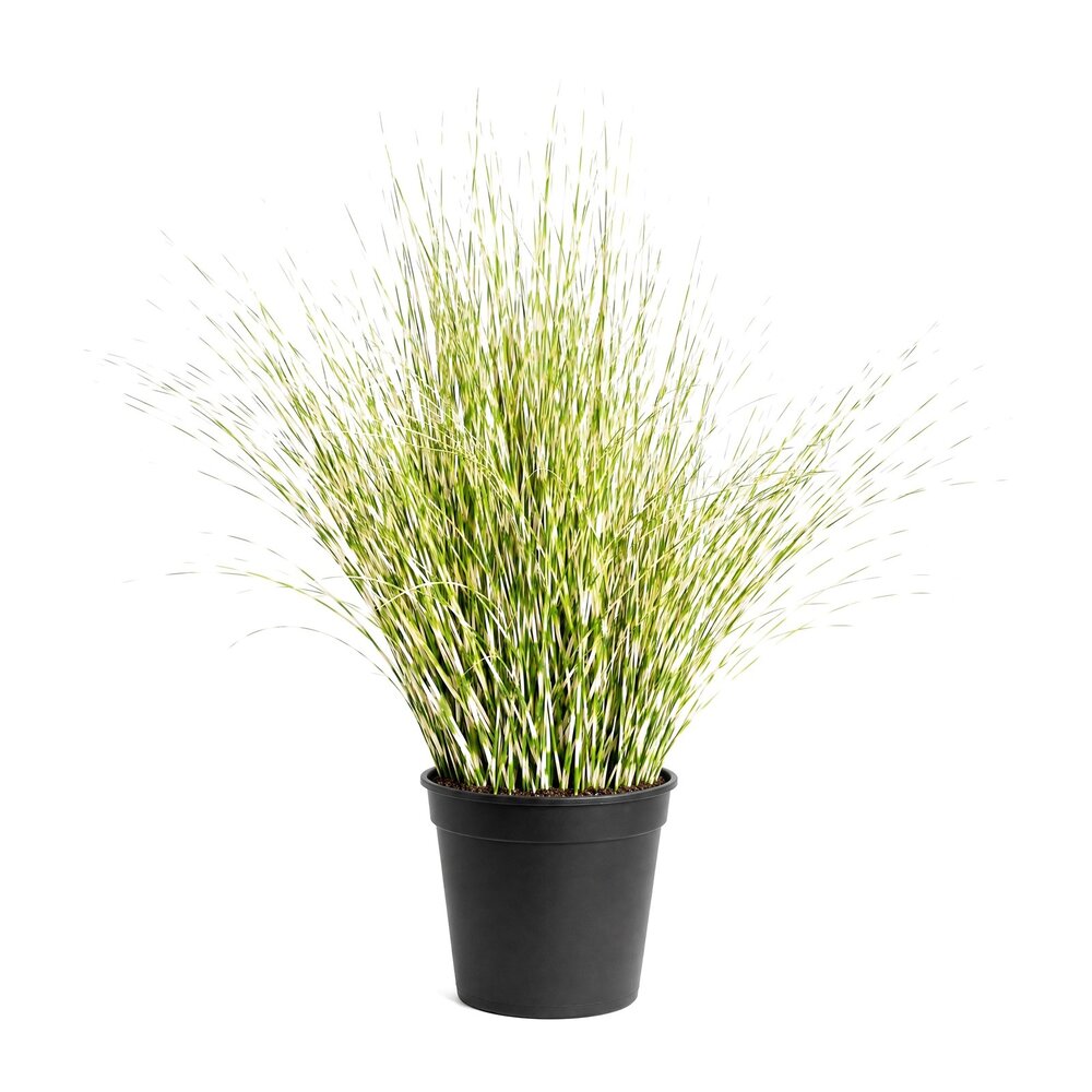 Coolplant Zebragras kunstplant 100 cm