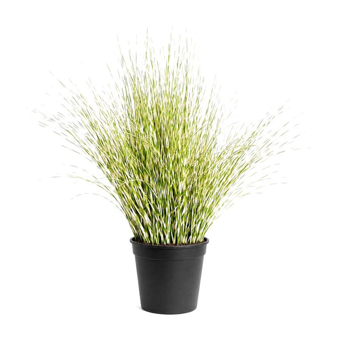 Coolplant Zebragras kunstplant 100 cm