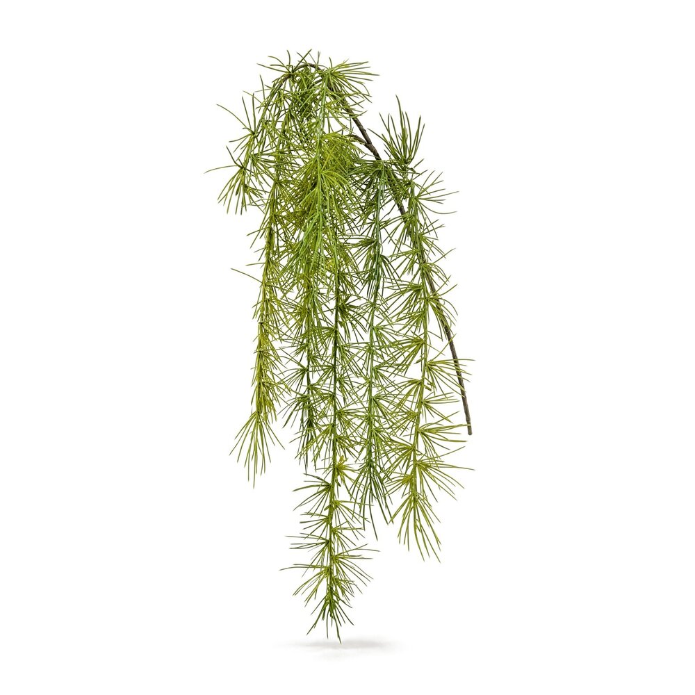 Coolplant Asparagus Sprengeri kunsttak 40 cm