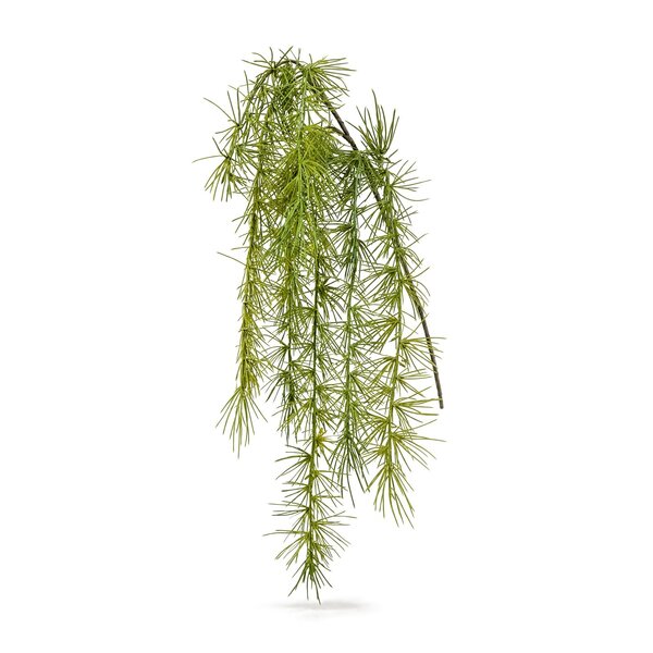 Coolplant Asparagus Sprengeri kunsttak 40 cm
