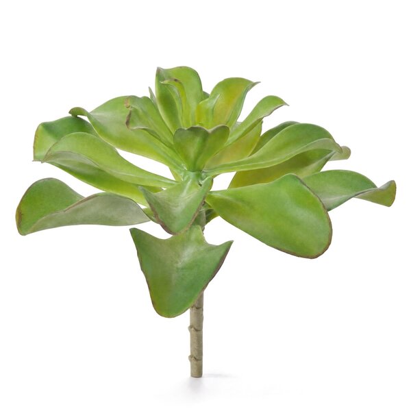 Coolplant Echeveria kunstboeket 20 cm