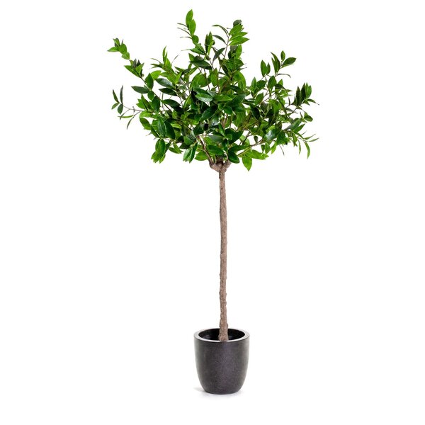Coolplant Laurier bol kunstboom 180 cm