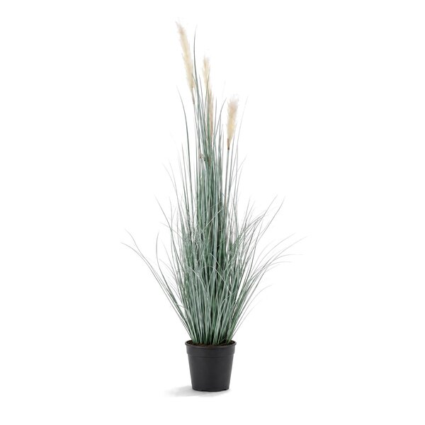 Coolplant Rietgras kunstplant wit 180 cm